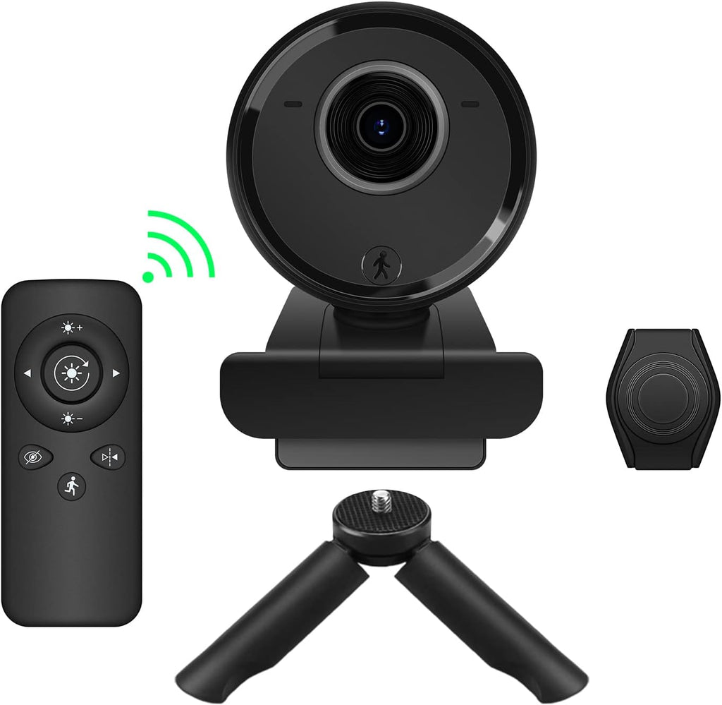 1080P 30FPS Webcam with Dual Microphone P241
