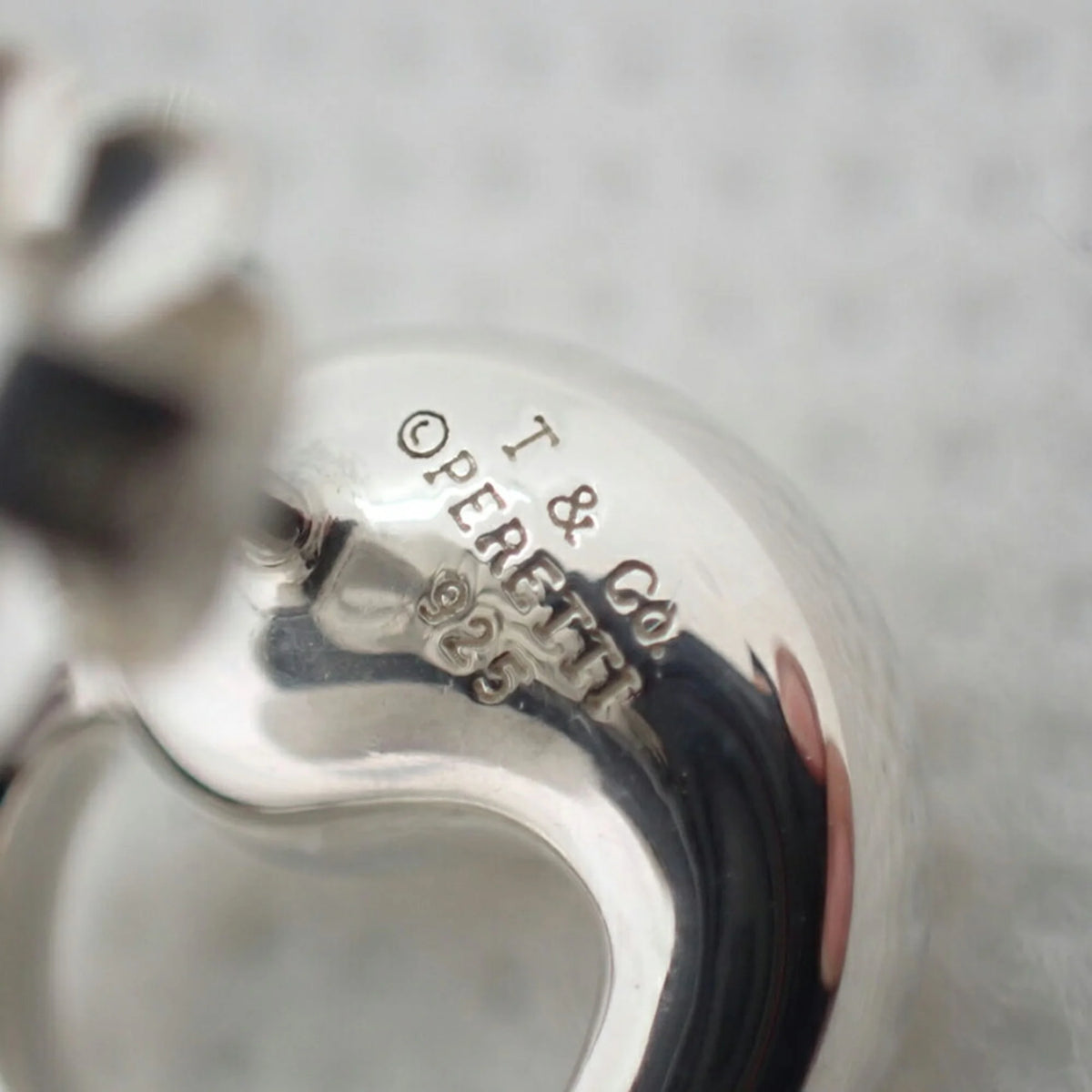 925 Eternal Circle Earrings X6459