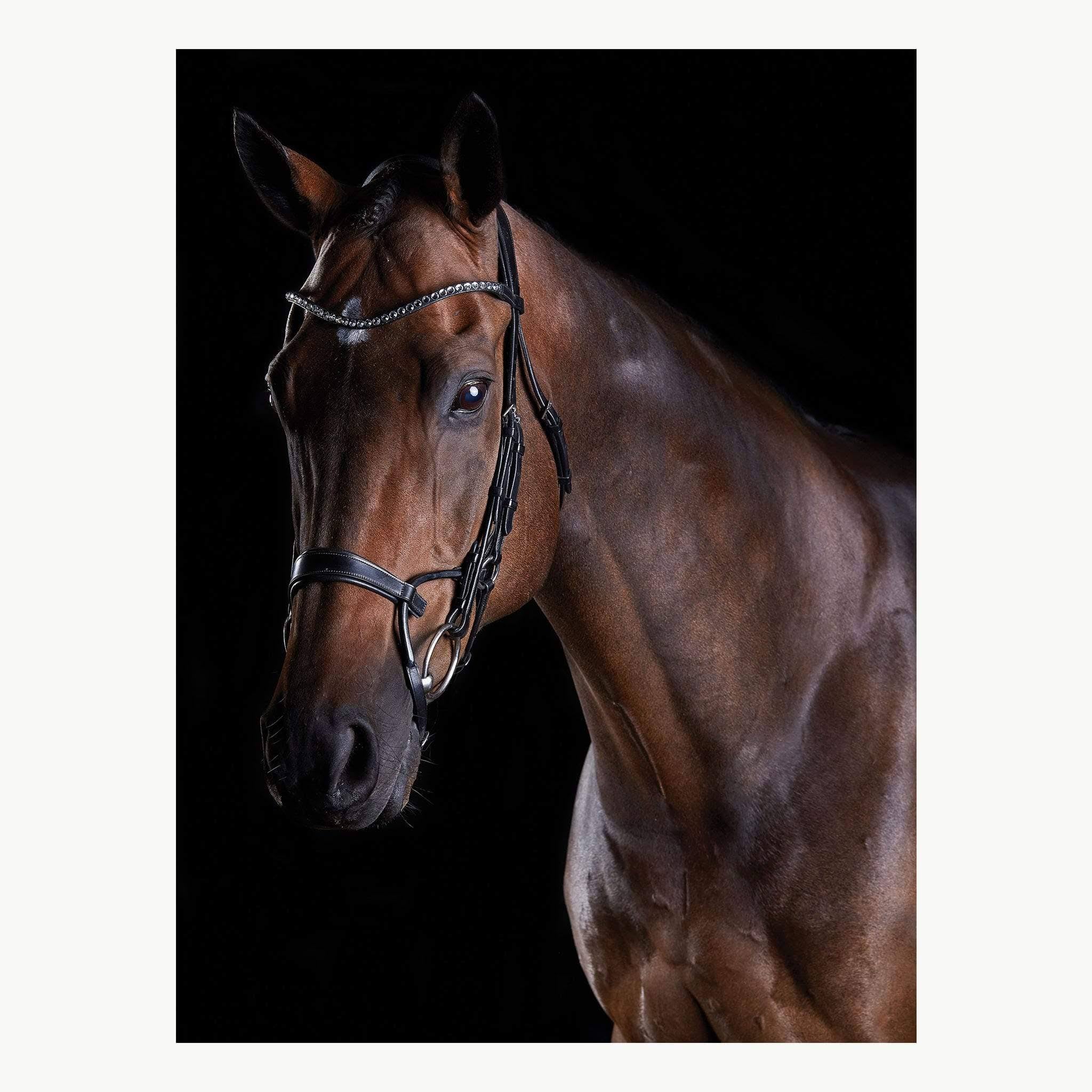Brown COB Bridle B2202