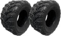 ATV Tubeless Tires 250/55-10 Rear Set of Two B194031