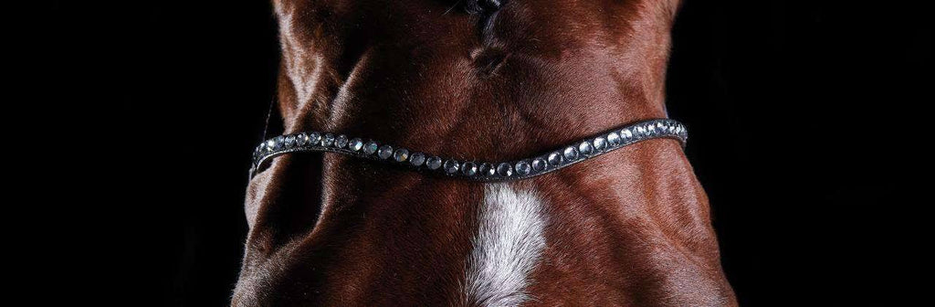 Brown COB Bridle B2202