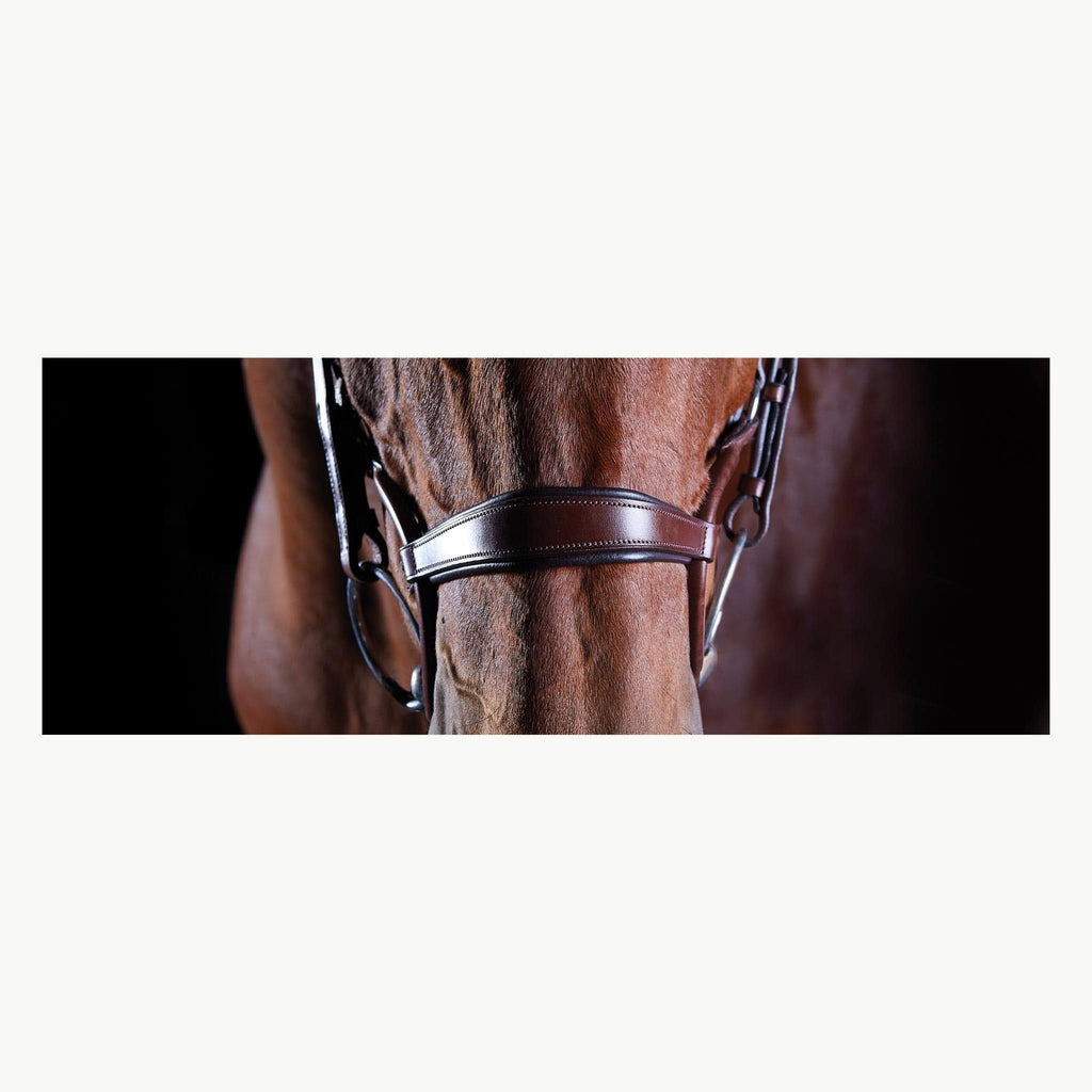 Brown COB Bridle B2202