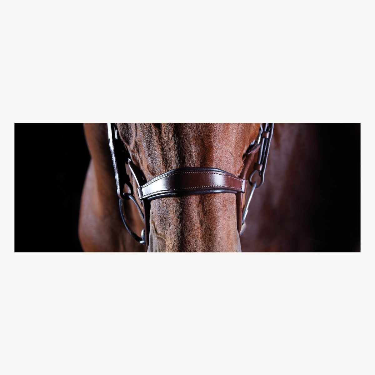 Brown COB Bridle B2202