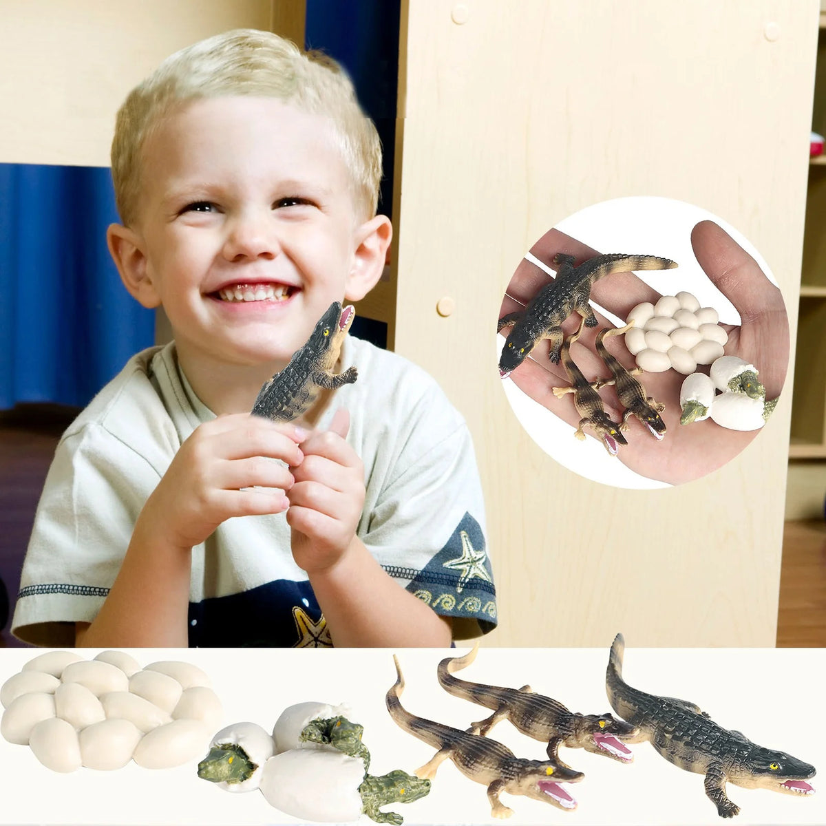 Educational Simulation Animal Growth Cycle Model Toys N15588