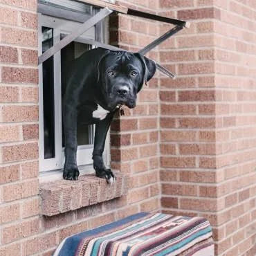 Bronze Medium Pet Door A573130