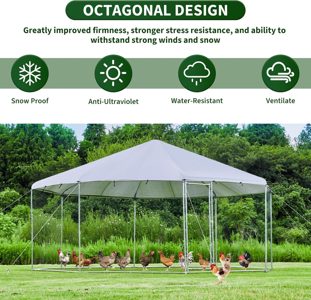 Large Octagon Chicken Coop with Galvanized Steel Frame C517983