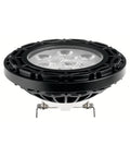 Black Landscape LED PAR36 10W 15 Degree D1002