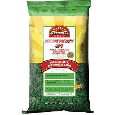 50 lbs. Tall Fescue Grass Seed H767