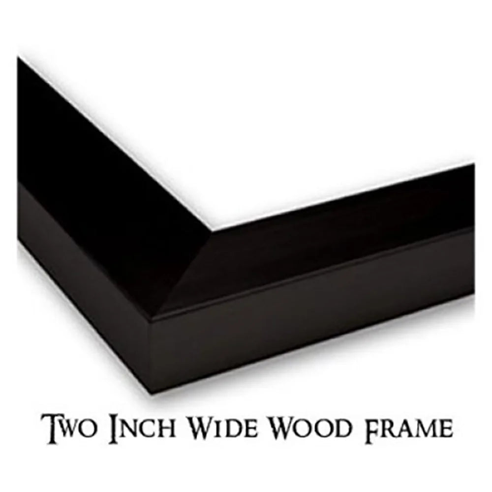 Black Modern Framed Museum Art Print Q43326