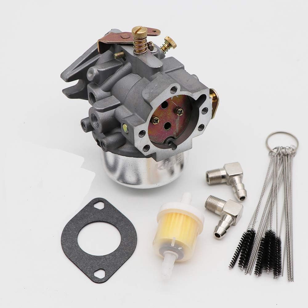 Carburetor with Gaskets & Carbon Dirt Jet Cleaner Tool Kit Pack of 2 B3813