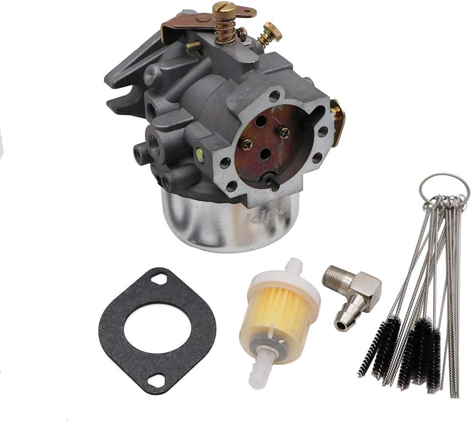 Carburetor with Gaskets & Carbon Dirt Jet Cleaner Tool Kit Pack of 2 B3813