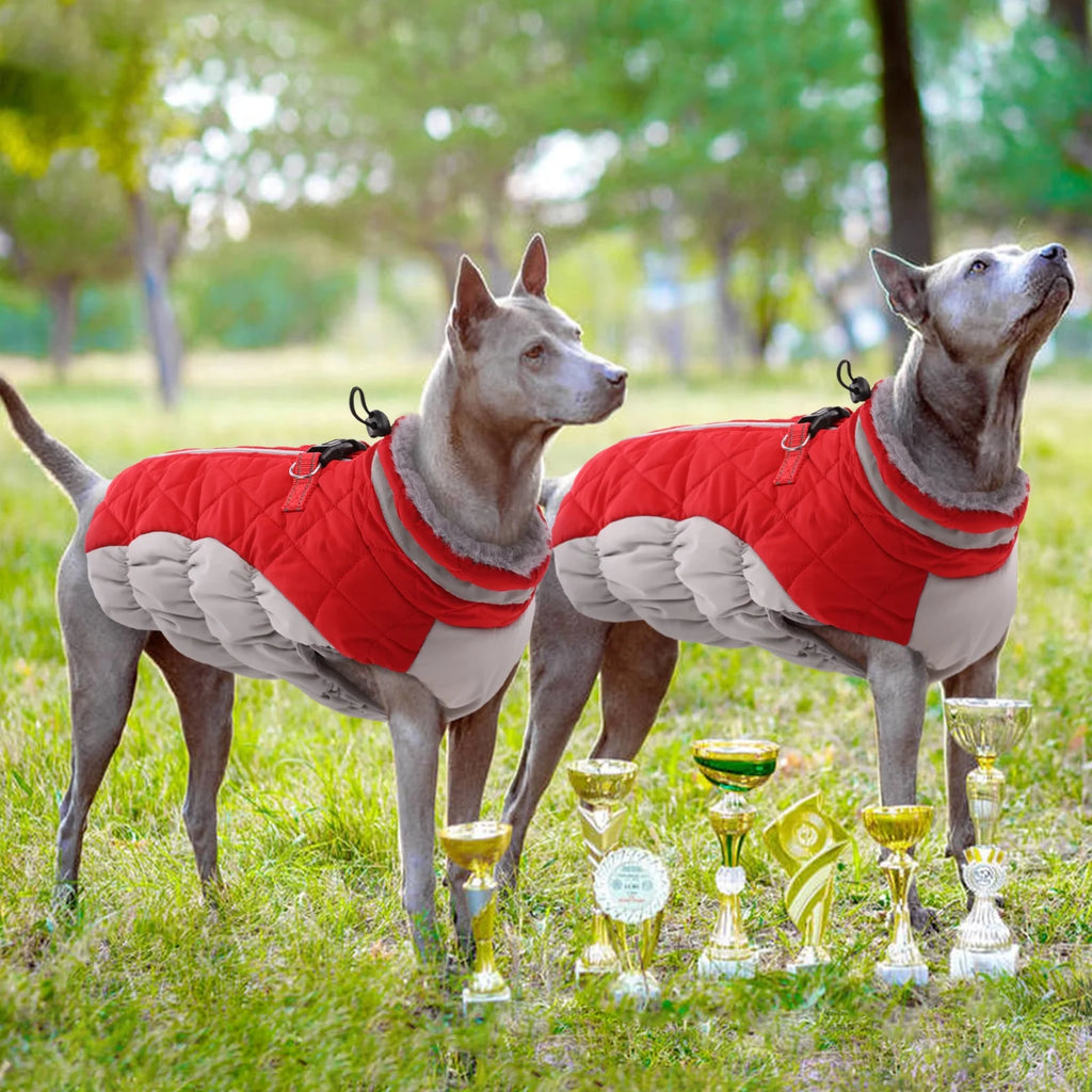 Red Reflective Dog Winter Coat P180