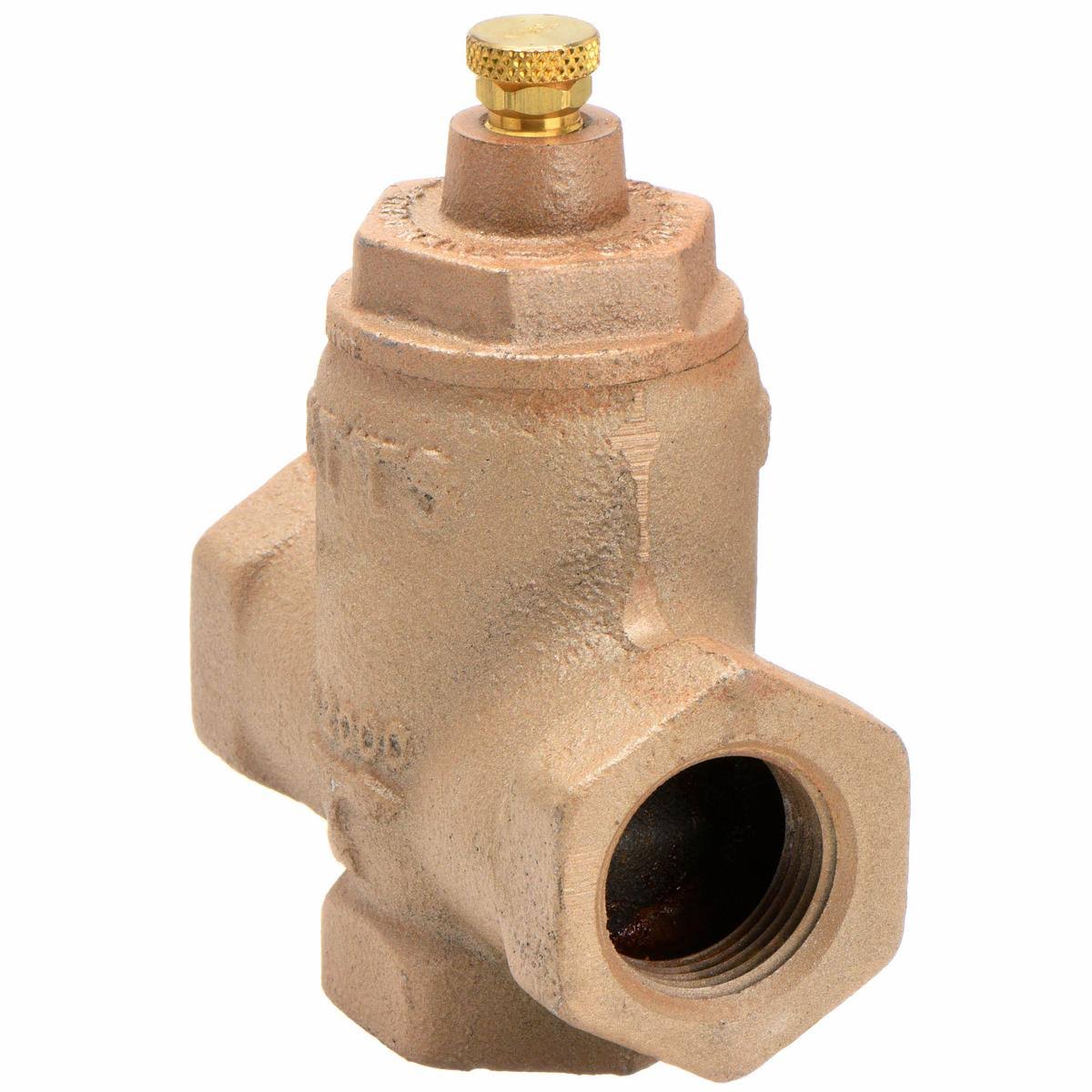 1-1/4 In Cast Iron Flow Check Valve C10732