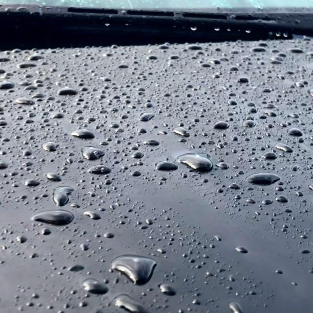 Foam-on/Rinse-Off Coating with Garden Hose Foam Cannon and Gallon of Wax Replacement F4231
