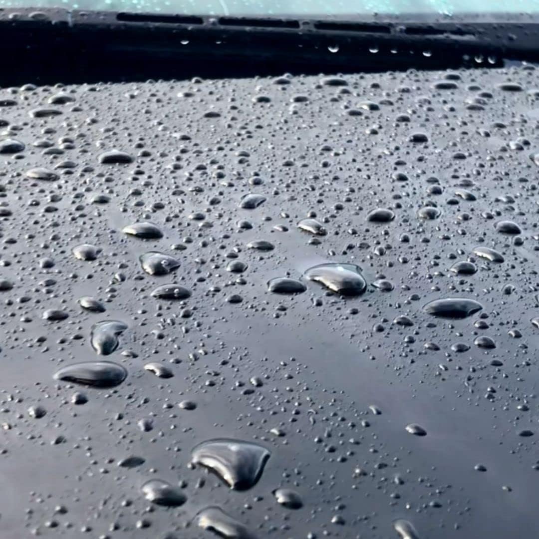 Foam-on/Rinse-Off Coating with Garden Hose Foam Cannon and Gallon of Wax Replacement F4231