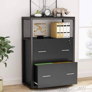2 Drawer Lateral File Cabinet with Lock C164569
