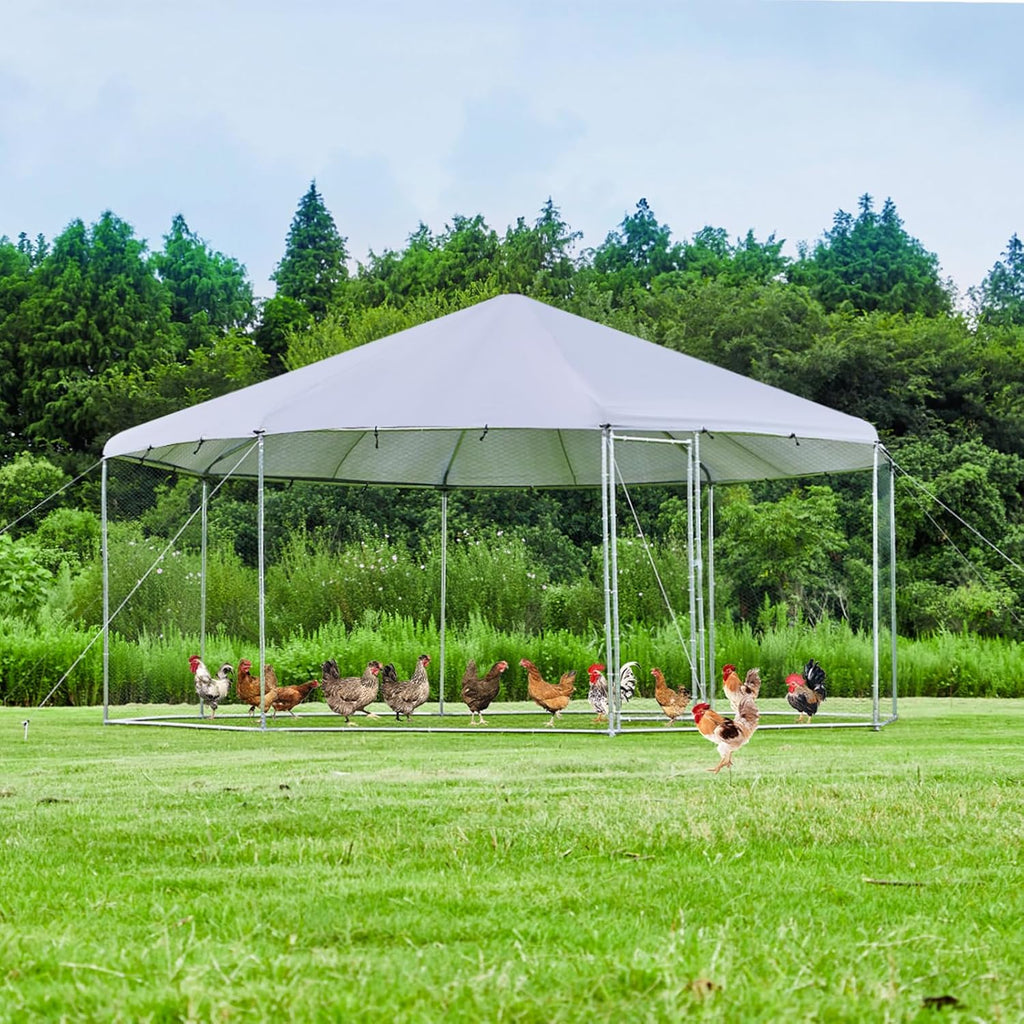 Large Octagon Chicken Coop with Galvanized Steel Frame C517983
