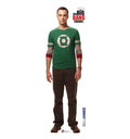 Lifesize Walljammer D447730