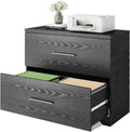 Black 2 Drawer Wood Lateral File Cabinet F4603