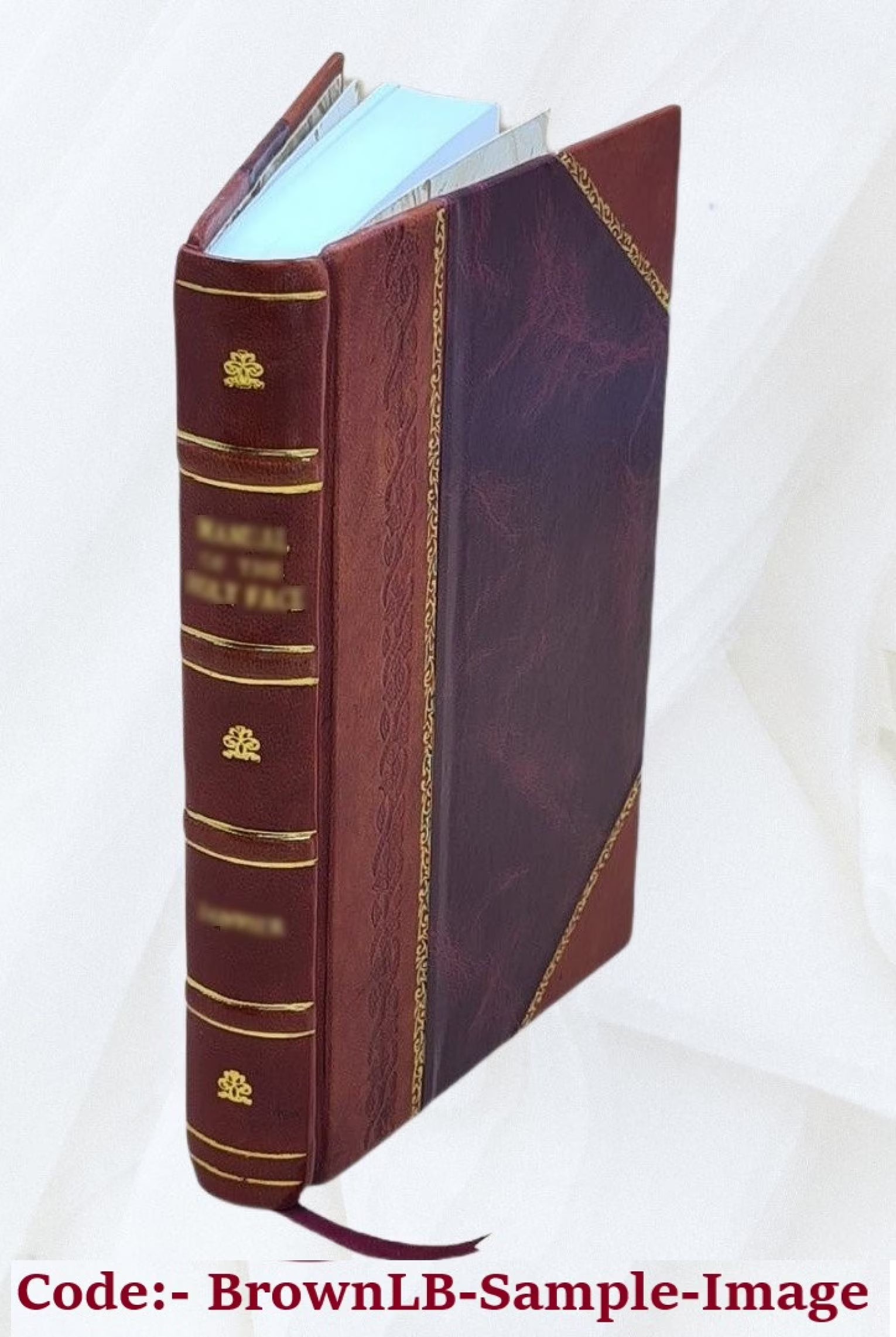 1980 census of population. Volume 1, Characteristics of the population. Volume pt.42 D-1 South Carolina 9999 [Leather Bound] C98927