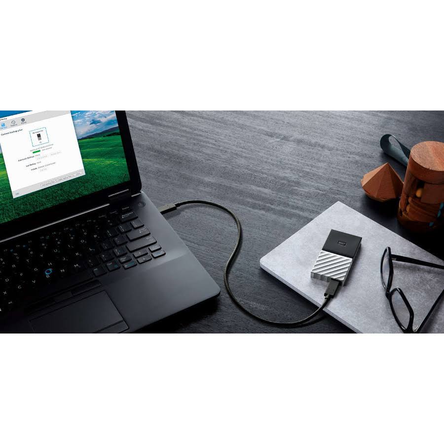 1024 GB External SSD L846559