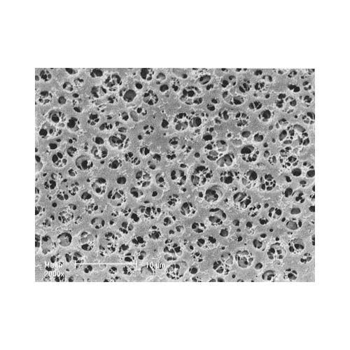 90 mm Cellulose Acetate Membrane Filter, 0.8 um, 100 Pcs U492241