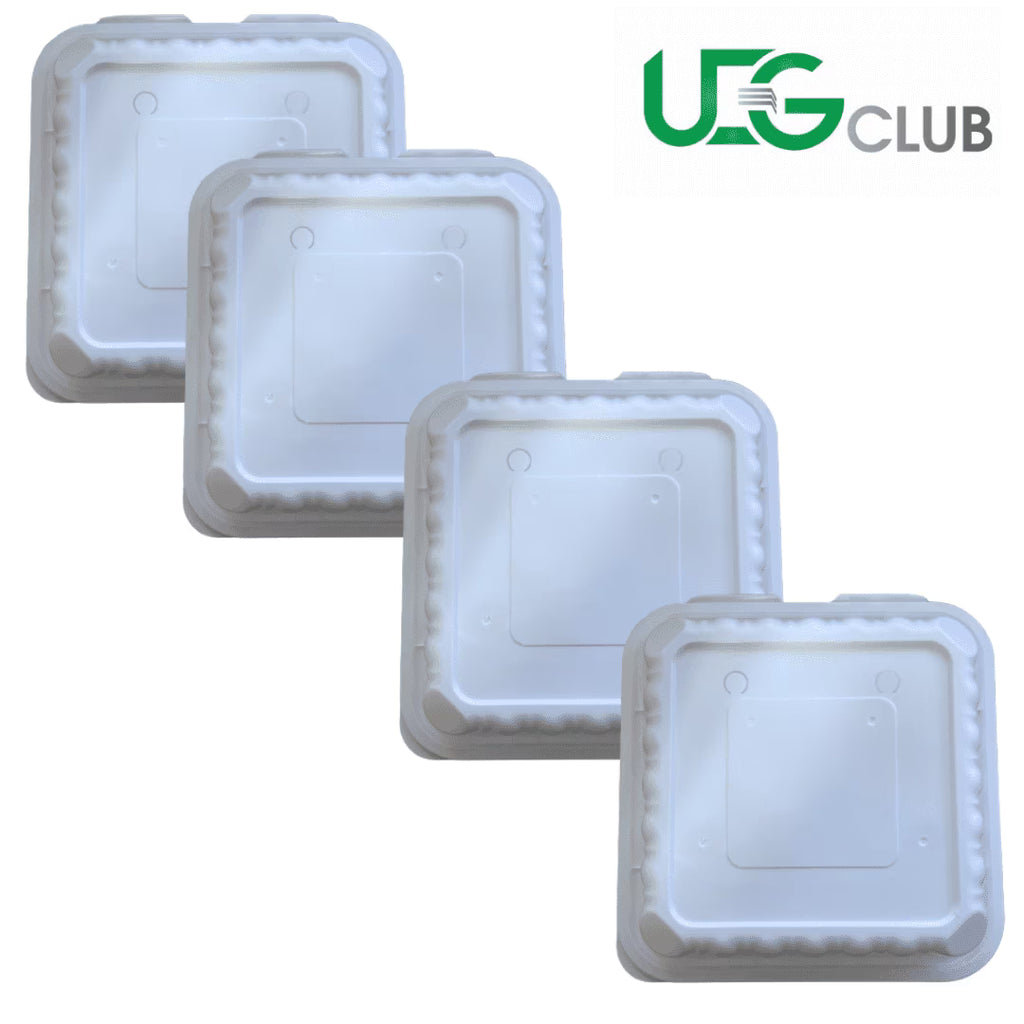 8x8x3 Disposable To Go Containers (25 ct) N21393