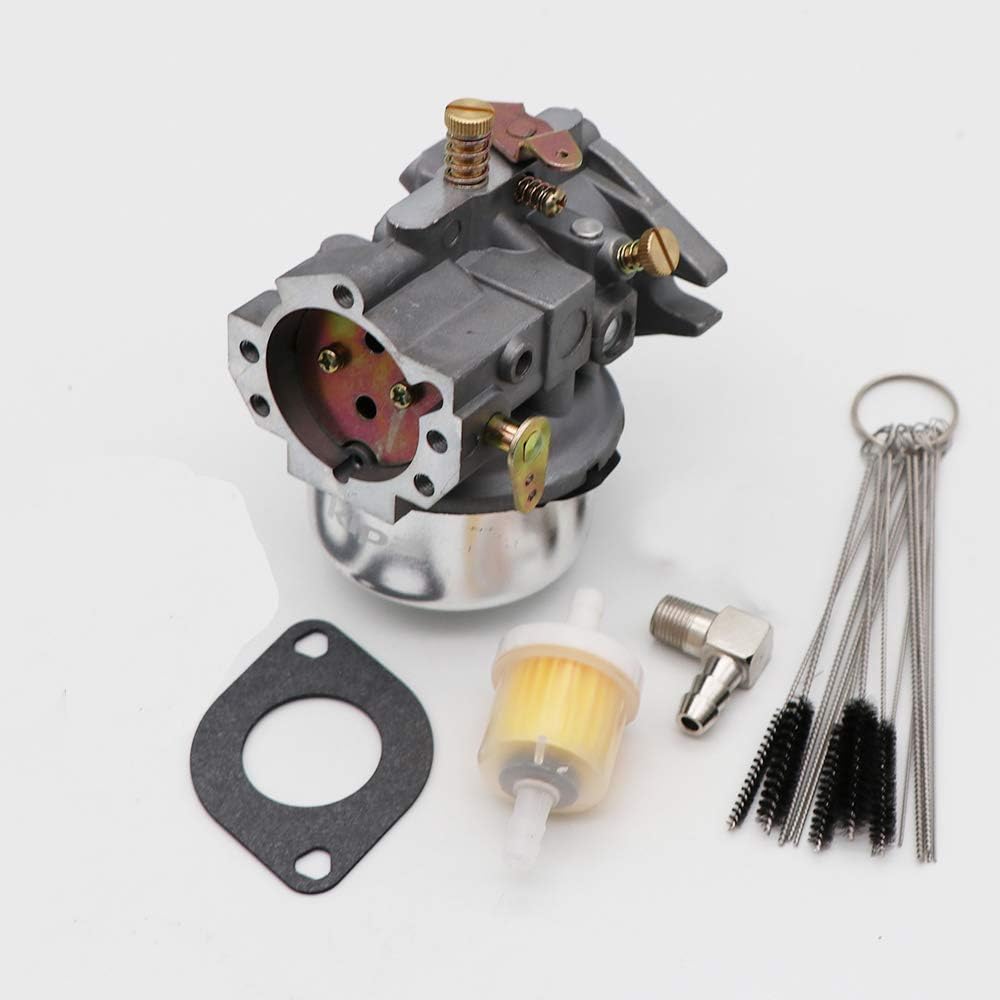 Carburetor with Gaskets & Carbon Dirt Jet Cleaner Tool Kit Pack of 2 B3813