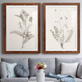 Maple Framed Paper Print G35925