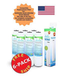 Water and Ice Filter 6 Pack C23074