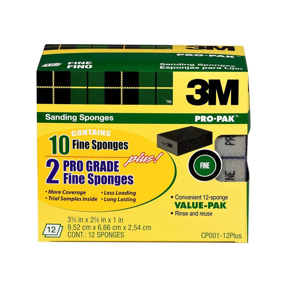 Fine Grit Sanding Sponge (Case of 4, 12-Packs) C95210