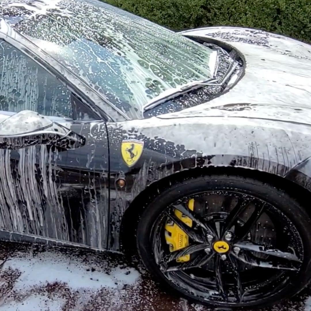 Foam-on/Rinse-Off Coating with Garden Hose Foam Cannon and Gallon of Wax Replacement F4231
