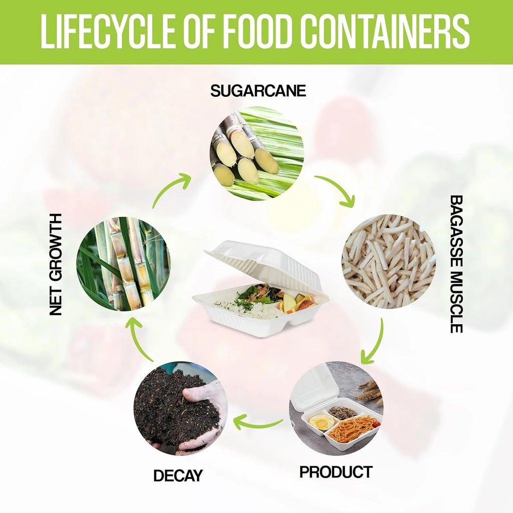 8x8x3 Disposable To Go Containers (25 ct) N21393