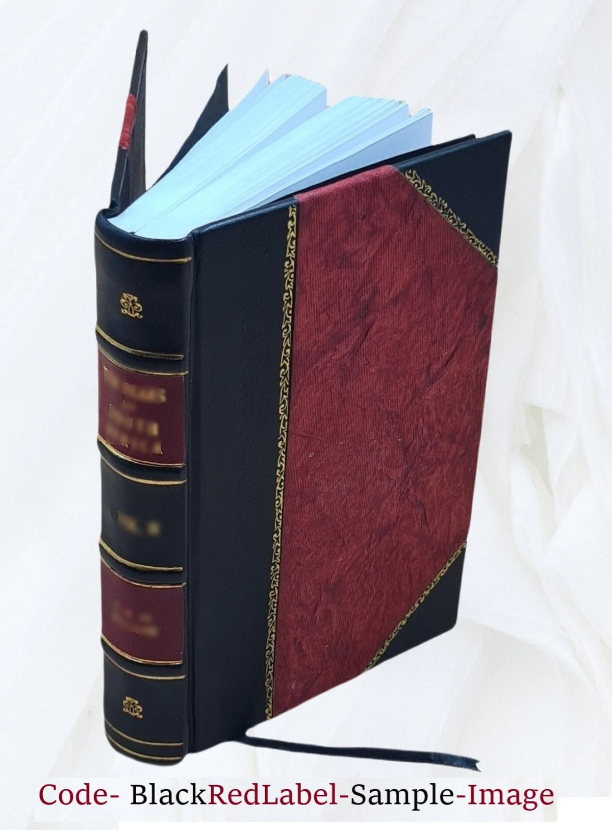 1980 census of population. Volume 1, Characteristics of the population. Volume pt.42 D-1 South Carolina 9999 [Leather Bound] C98927