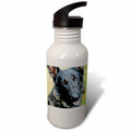 21 oz Sports Water Bottle R99135
